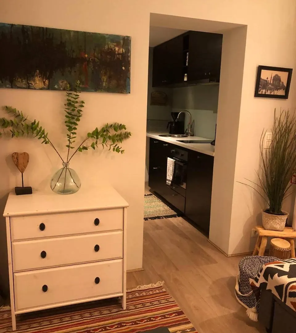 Spacious Brusselles Place מלון בריסל